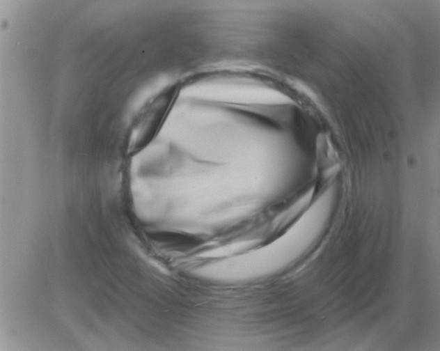 X0000082711406200702232244