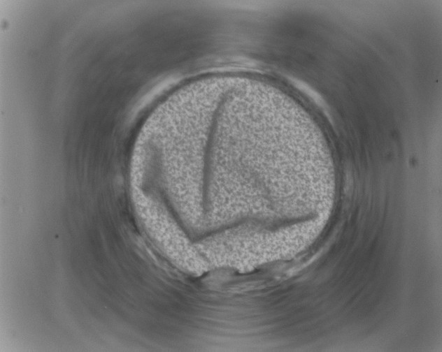 X0000082711407200702232244