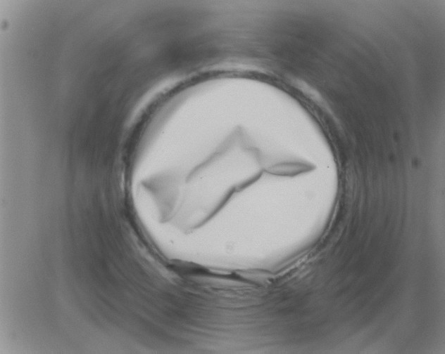 X0000082711408200702232244