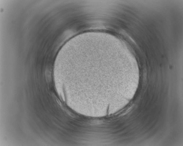 X0000082711409200702232244