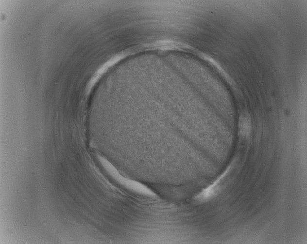 X0000082711410200702232244