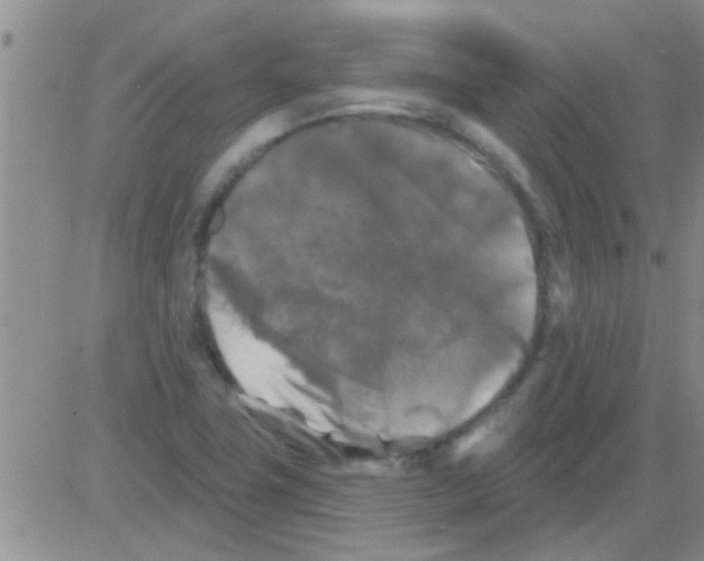 X0000082711411200702232244