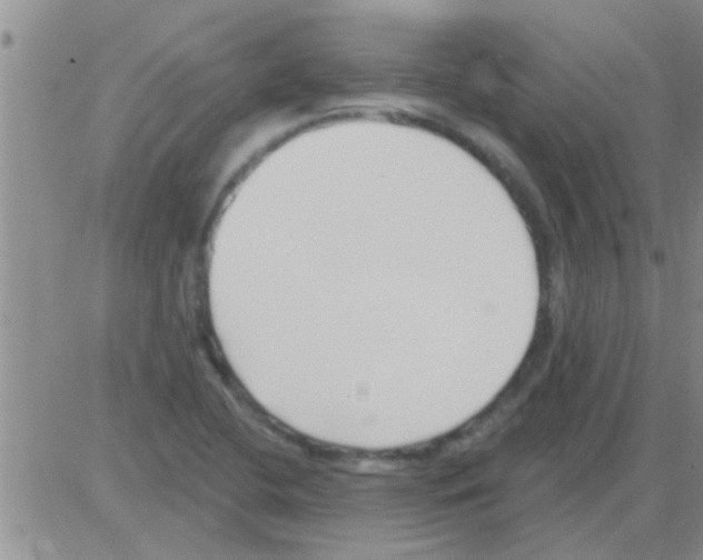 X0000082711412200702232244