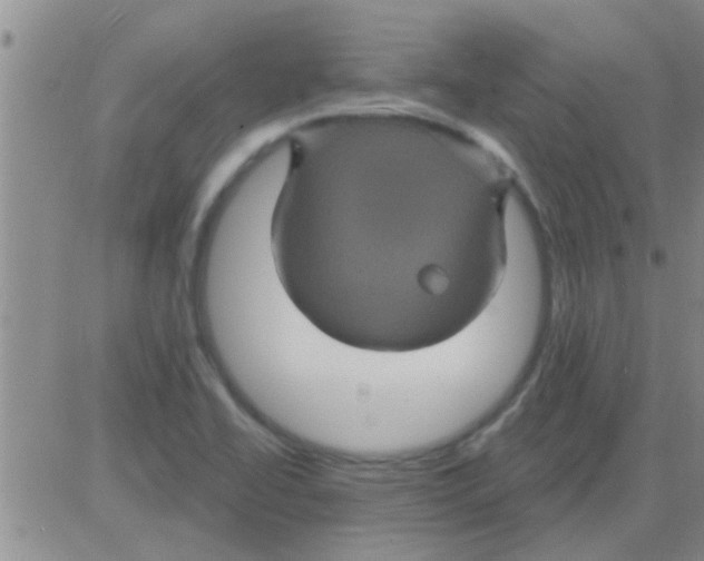 X0000082711414200702232244