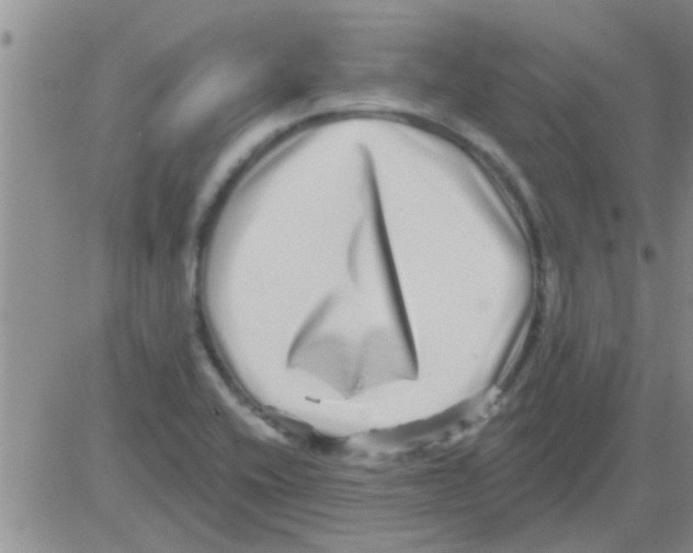 X0000082711416200702232244