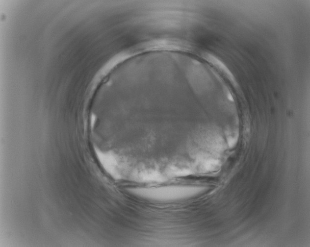 X0000082711419200702232244