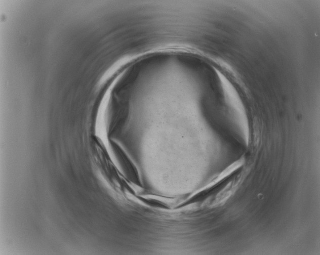 X0000082711422200702232244