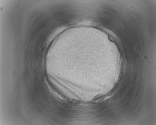 X0000082711423200702232244