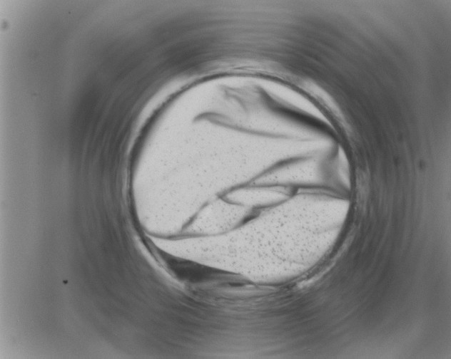 X0000082711424200702232244