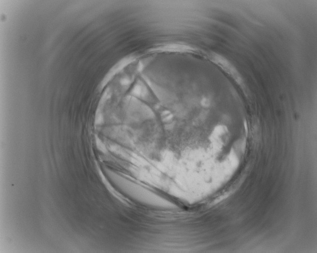 X0000082711425200702232244