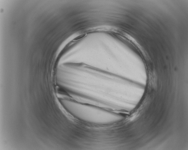 X0000082711426200702232244