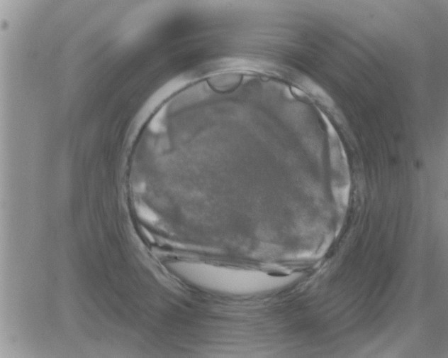 X0000082711427200702232244