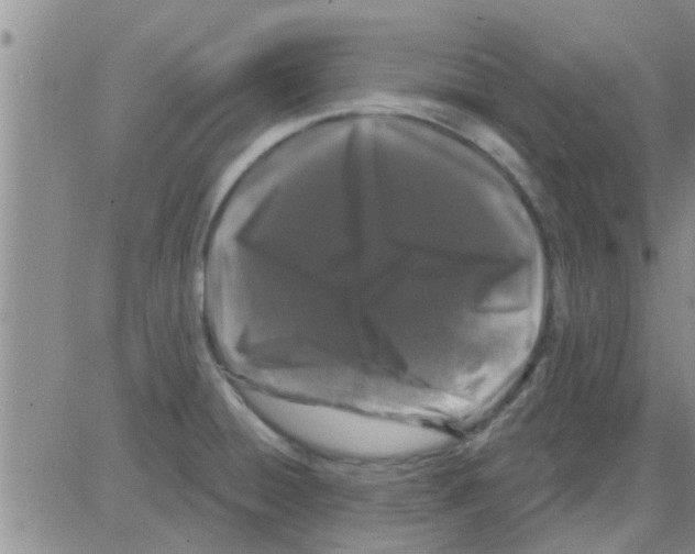 X0000082711428200702232244