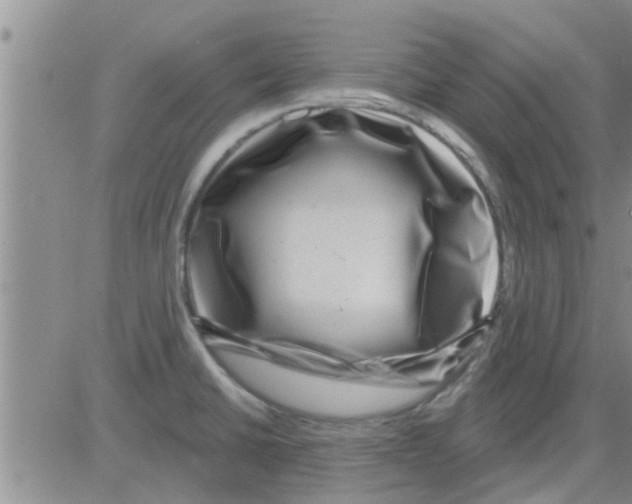 X0000082711430200702232244