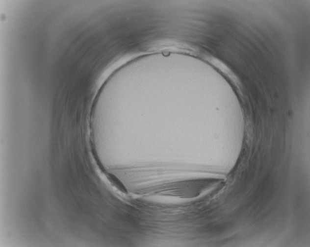 X0000082711431200702232244