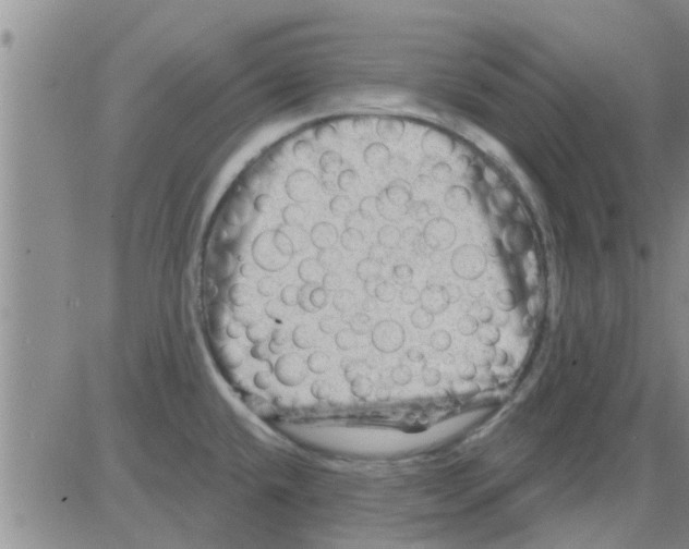 X0000082711432200702232244