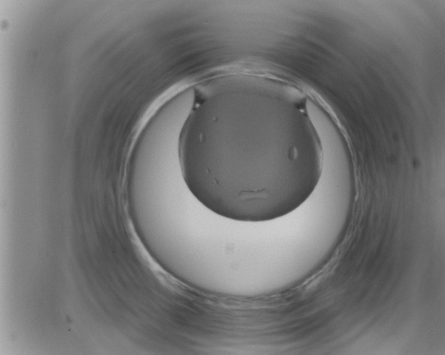 X0000082711434200702232244