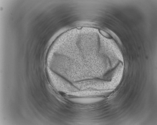 X0000082711435200702232244