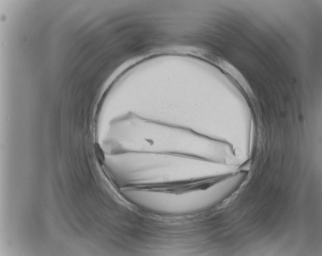 X0000082711436200702232244