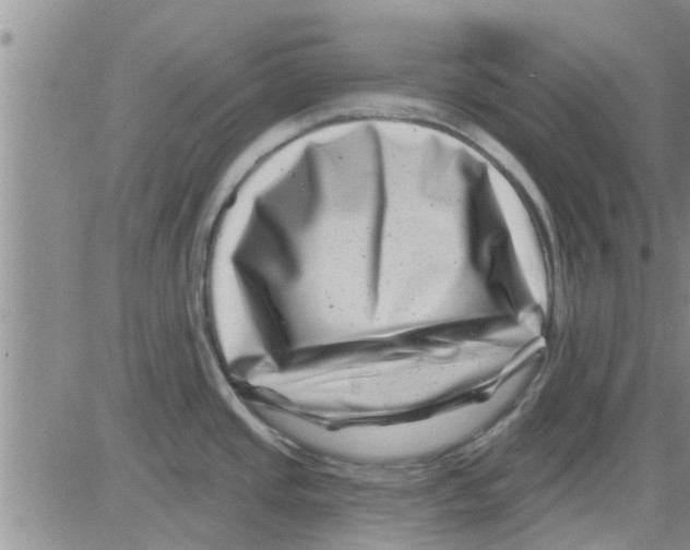 X0000082711437200702232244