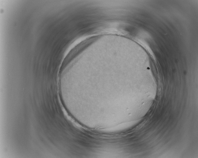 X0000082711439200702232244