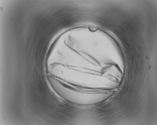 X0000082711440200702232245