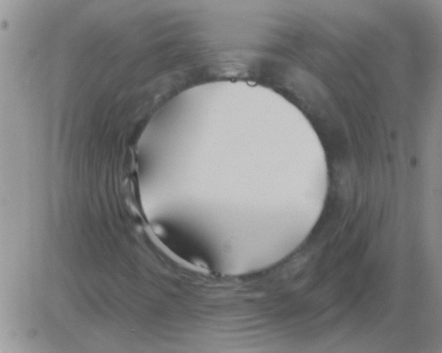 X0000082711442200702232244