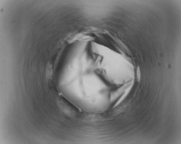 X0000082711443200702232244