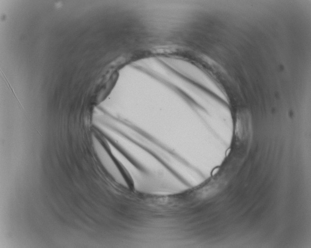 X0000082711444200702232244