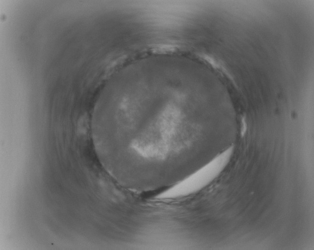 X0000082711445200702232244