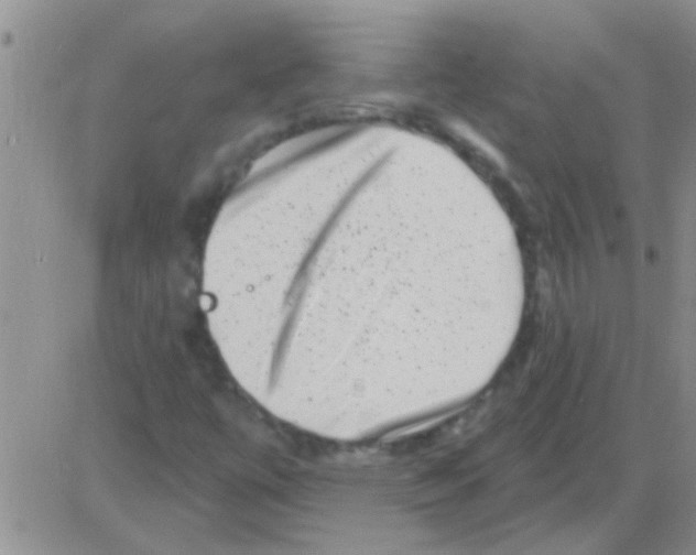 X0000082711447200702232244