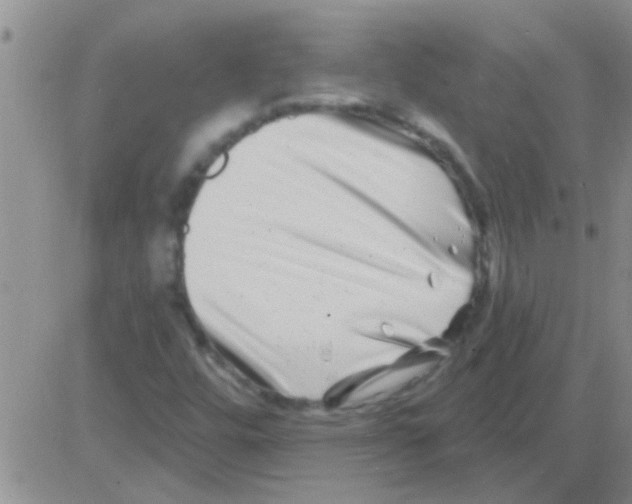 X0000082711448200702232244