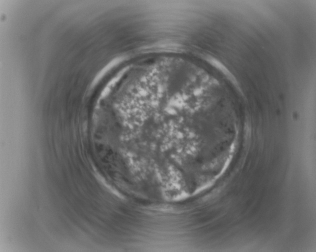 X0000082711450200702232244