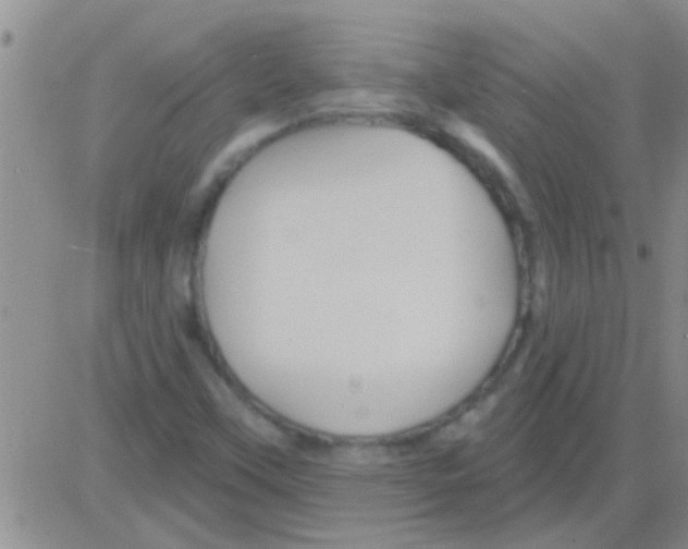 X0000082711451200702232244