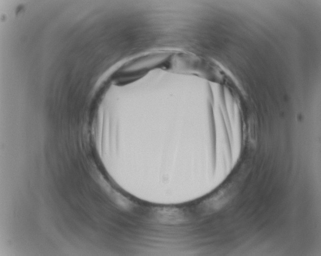 X0000082711452200702232244