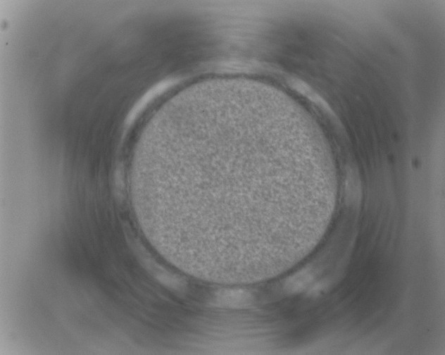 X0000082711454200702232243