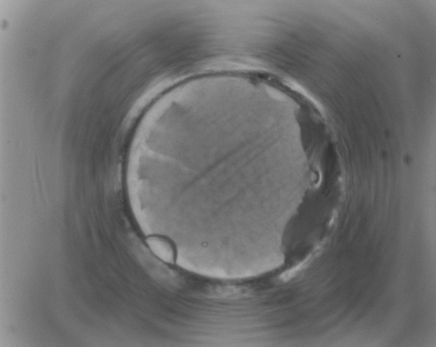 X0000082711459200702232243