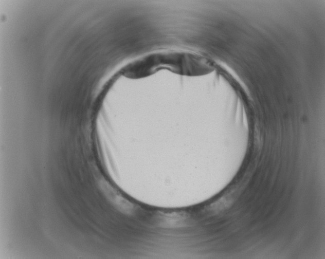 X0000082711460200702232243