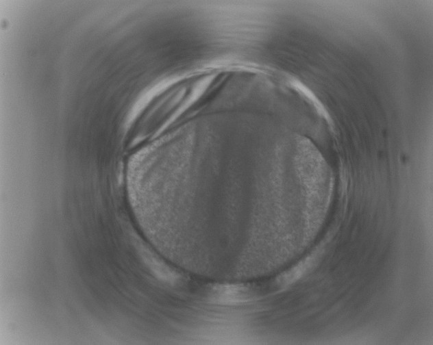 X0000082711461200702232243