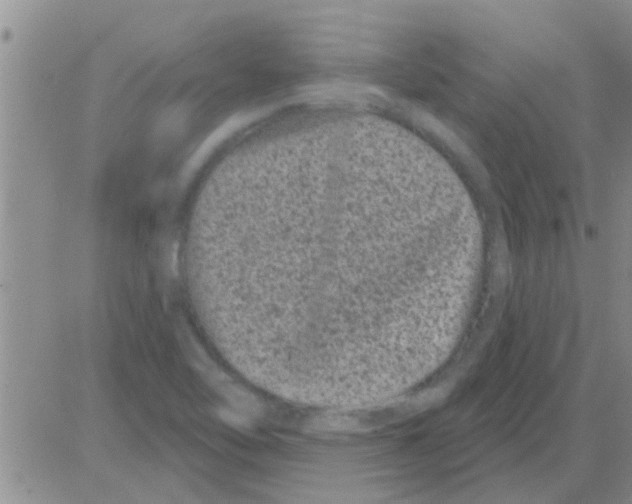 X0000082711462200702232243