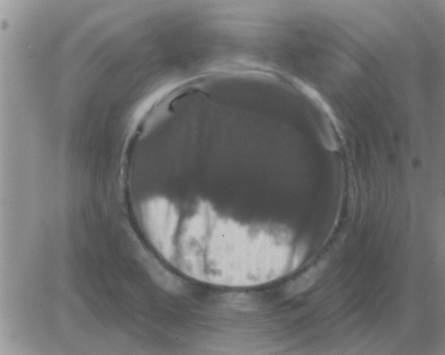 X0000082711463200702232243