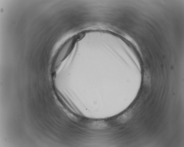 X0000082711464200702232243