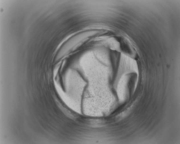 X0000082711465200702232243