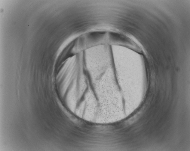 X0000082711469200702232243