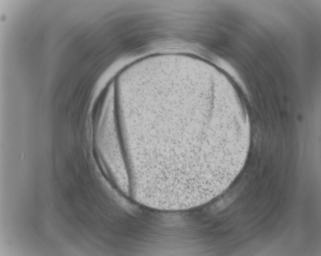 X0000082711472200702232243