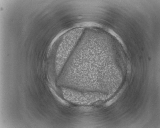 X0000082711473200702232243