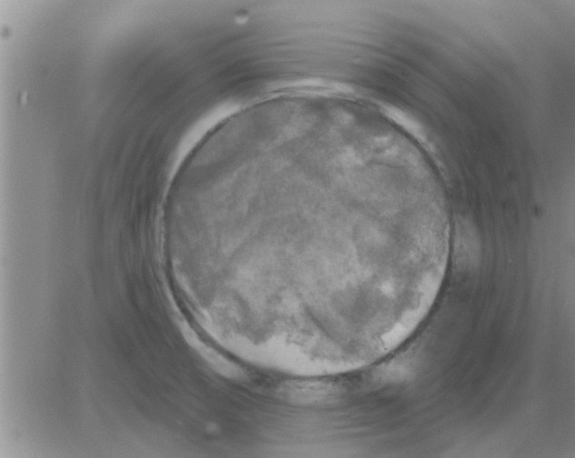 X0000082711474200702232243