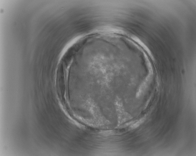 X0000082711477200702232243