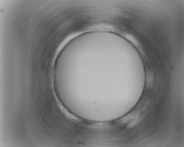 X0000082711478200702232243