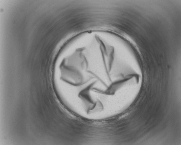 X0000082711480200702232243